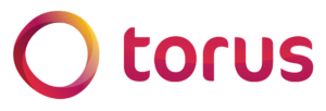 02-torus